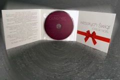 DIGIPACK CD 6 STRON 1 PŁYTA